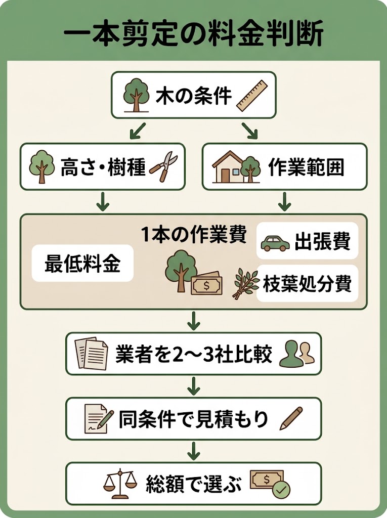庭木を一本だけ剪定するときの判断と依頼の流れを俯瞰できるインフォグラフィック